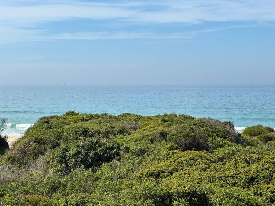 Low Tide At No 35 St Francis Bay Exterior photo